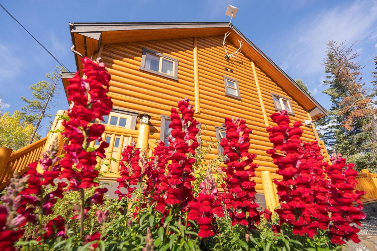 Castle Mountain Chalets ภายนอก รูปภาพ
